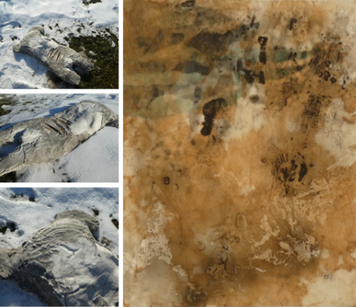 Sedimentcorpus